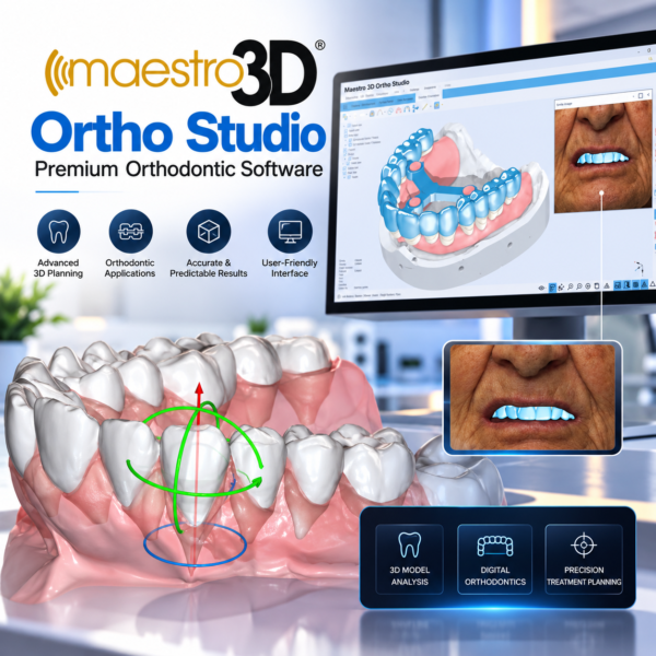 Maestro 3D Services