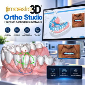 Maestro 3D Servicres